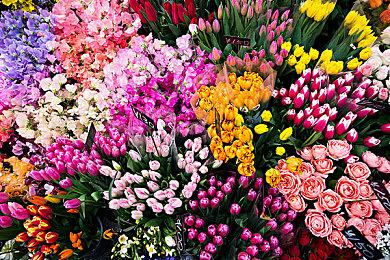 《原神》1月吸金2.08亿美元 《PUBGM》吸金2.37亿美元