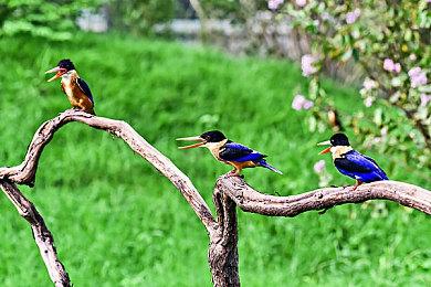 仙侠单机《剑魄》上线蒸汽平台 一人独立开发完成